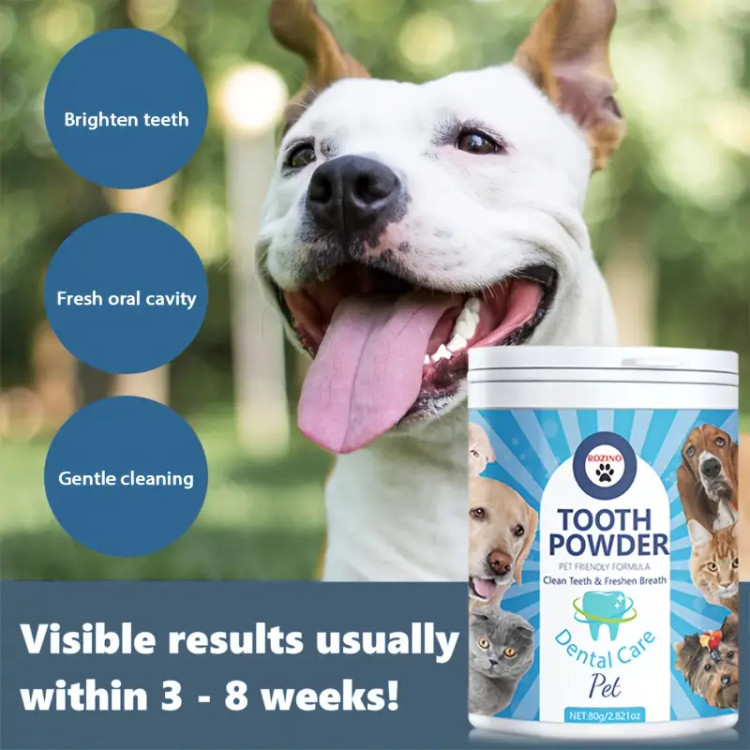 پودر شست و شوی دندلن