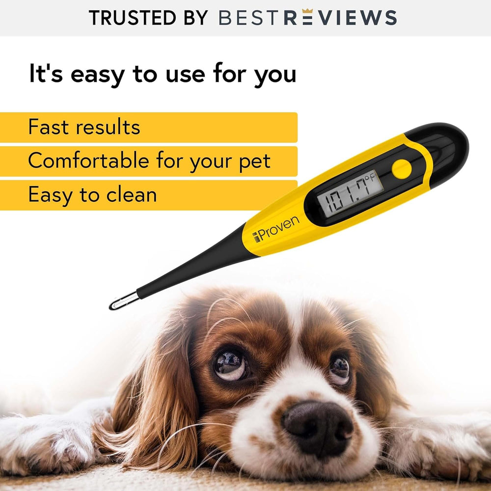 دماسنج حیوانات iProven DT-K117Y برای تشخیص دقیق تب – مناسب گربه و سگ – ضدآب 🌡️🐶🐱