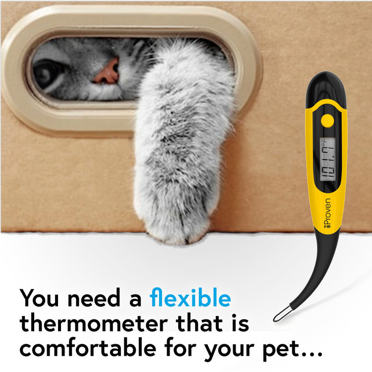 دماسنج حیوانات iProven DT-K117Y برای تشخیص دقیق تب – مناسب گربه و سگ – ضدآب 🌡️🐶🐱