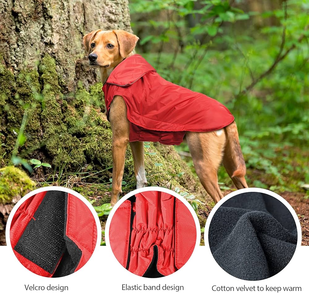 بارانی ضدآب سگ – کت بارانی برند IREENUO  سایز XL 🐶🌧️❄️(برای تطابق سایز اسلاید آخر عکس ها را ببینید)