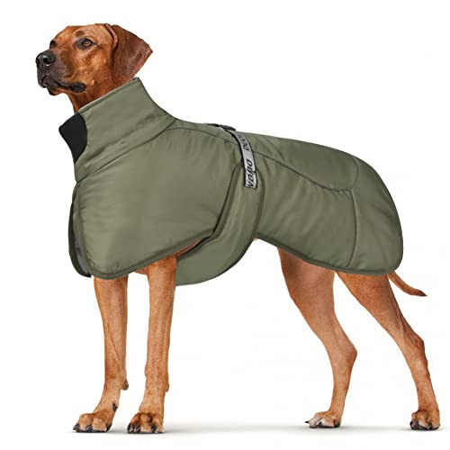 کت زمستانی DoggieKit برای سگ، ضدآب، ضدباد و گرم، مجهز به نوارهای بازتابدهنده نور (شبرنگ)، دارای محل عبور بند یا قلاده (Harness Hole)، رنگ سبز,سایز 2XL.(برای تطابق اندازه اسلاید آخر عکس ها را ببینید)