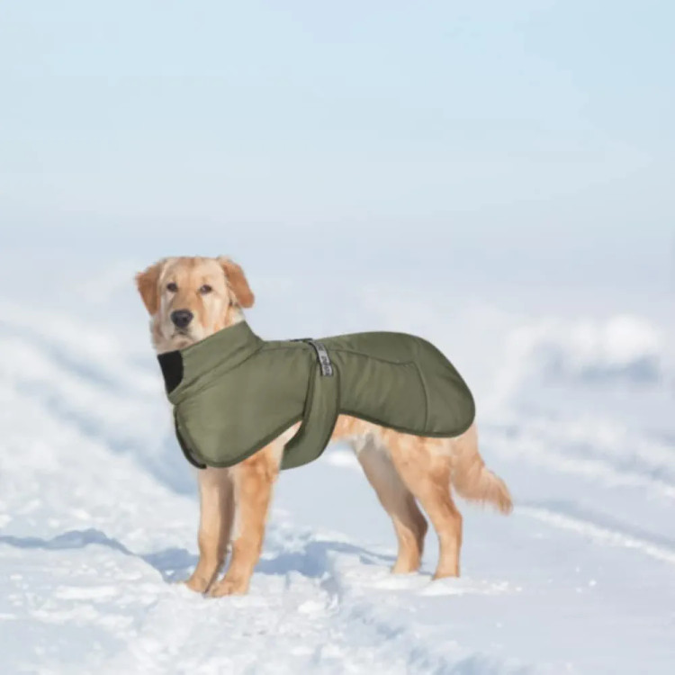 کت زمستانی DoggieKit برای سگ، ضدآب، ضدباد و گرم، مجهز به نوارهای بازتابدهنده نور (شبرنگ)، دارای محل عبور بند یا قلاده (Harness Hole)، رنگ سبز,سایز 2XL.(برای تطابق اندازه اسلاید آخر عکس ها را ببینید)