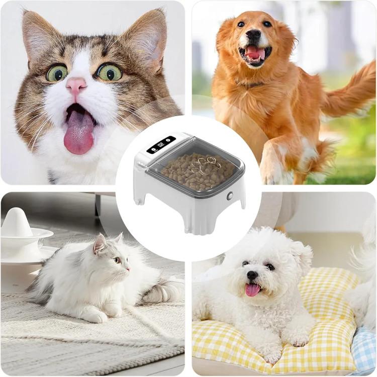 Automatic Cat Feeder - Pet Feeder, Food Dispenser Pets with Timed Switch, Wet Food Pet Dispenser, Suitable for Cats and Dogs, Automatic Feeder with Infrared Induction (Grey)